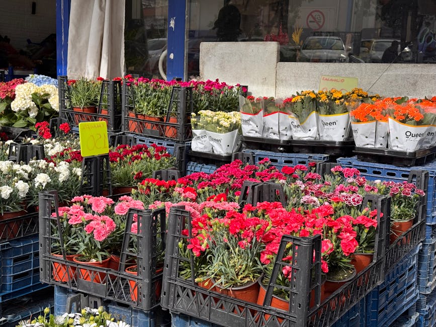Outdoor display of potted flowers featuring bright pink, red, white, yellow, and orange blooms arranged in black plastic crates outside a flower shop. The flowers include carnations and chrysanthemums